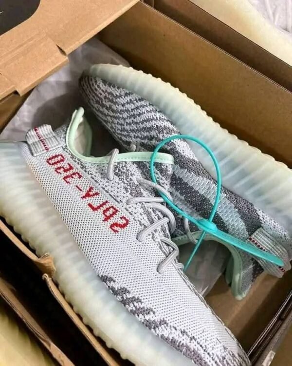 Yeezy Sply-350 - Image 5